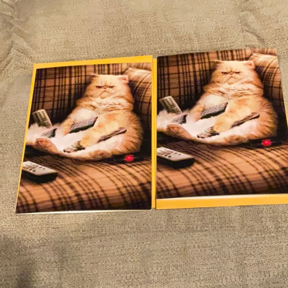 🌸3 for $18🌸 Avanti Funny Humorous Cat Greeting Cards, Set of Two